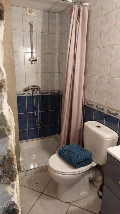 Maisonnette Chaleureuse De 35M2 Miremont  Dış mekan fotoğraf